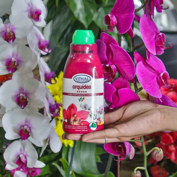 Fertilizante Líquido Para Orquídeas Vithal - 250ml - Image 3