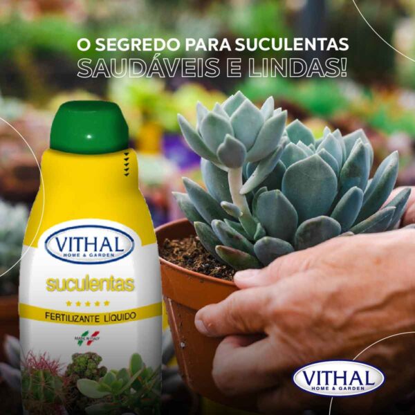 Fertilizante Líquido Para Suculentas Vithal - 250ml - Image 3
